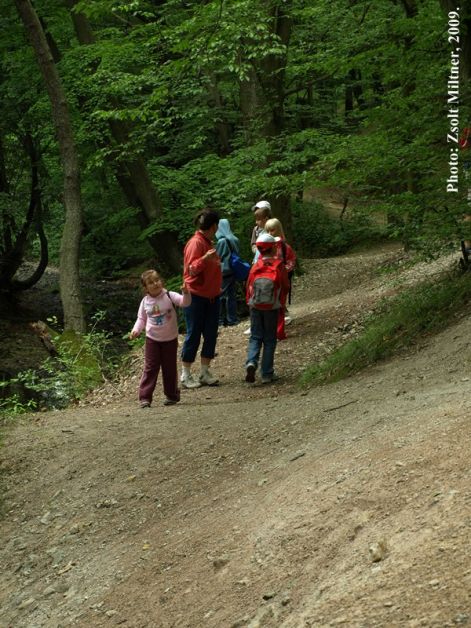 annaliget_008.jpg