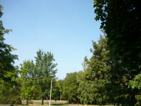 kep_161.jpg