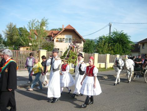 szureti.jpg