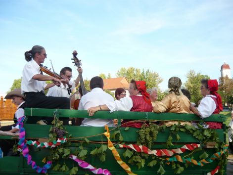 szureti2.jpg